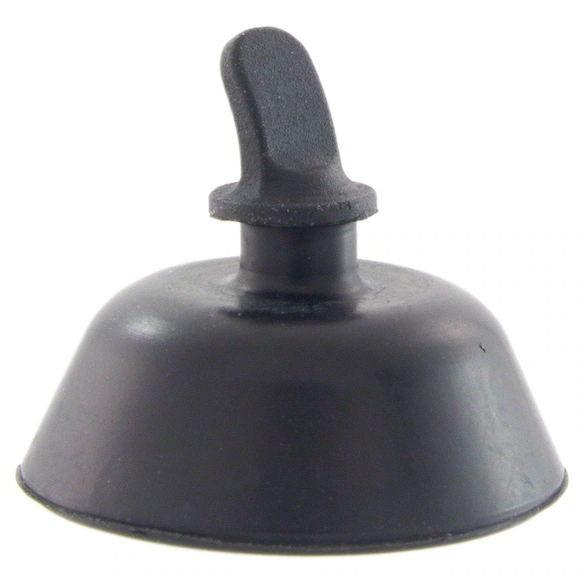 481910.jpg