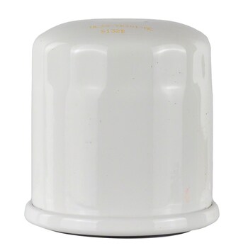 Drive Unit Oil Filter - Front, Rear