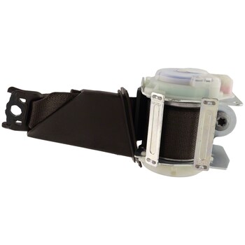 Seat Belt Lap and Shoulder - Right, Rear, Lower