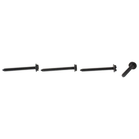 538915.jpg