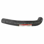 Radiator Coolant Hose - Lower Main Image