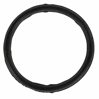 Engine Oil Pump Pickup Tube Gasket. Engine Oil Strainer Gasket - 2.0L.