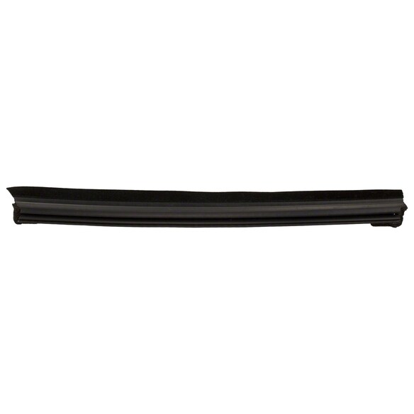 Door Window Belt Weatherstrip - Right, Rear Main Image