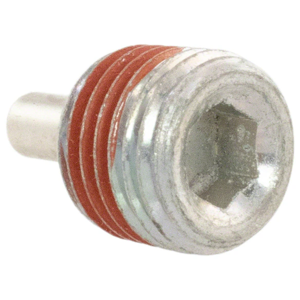 431919.jpg