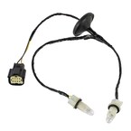 Wiring and Socket Lamp AS Main Image