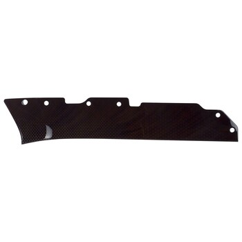 Door Trim Molding Panel Applique - Left, Front, Driver