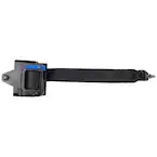 Seat Belt - Left, Right, Rear Main Image
