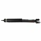 Suspension Shock Absorber - Rear (EcoBoost) Main Image