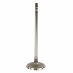 Engine Intake Valve - Inlet 5.0L Main Image