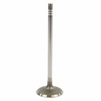 Engine Intake Valve - Inlet 5.0L