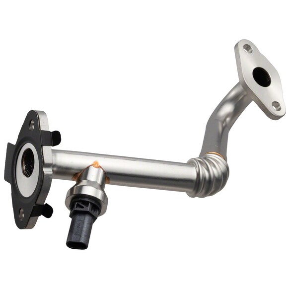 645925.jpg