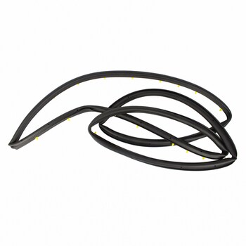 Door Seal Weatherstrip - Right, Rear