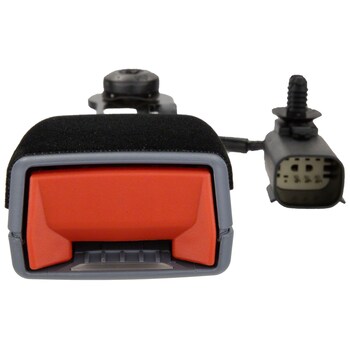 Seat Belt Receptacle - Right, Rear