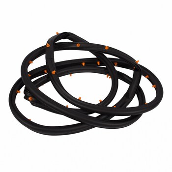 Door Seal Weatherstrip - Left, Rear