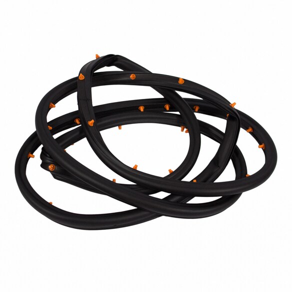 Door Seal Weatherstrip - Left, Rear Main Image