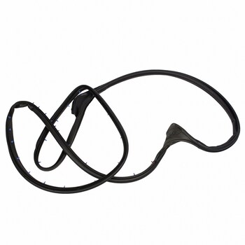 Door Seal Weatherstrip - Right, Front