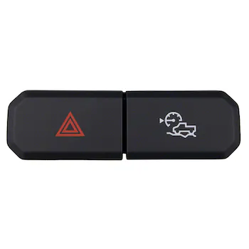 Cruise Control Switch