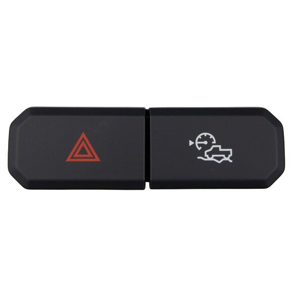Cruise Control Switch Main Image