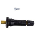 Tire Pressure Monitoring System (TPMS) Sensor Valve Main Image