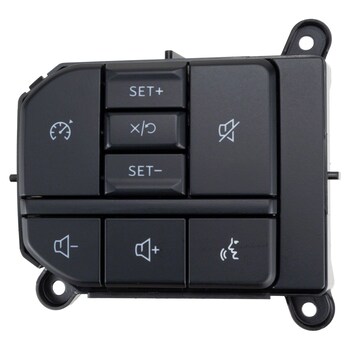 Cruise Control Switch - Left