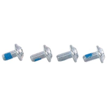 Window Regulator Bolt