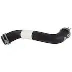 Radiator Coolant Hose - Lower Main Image