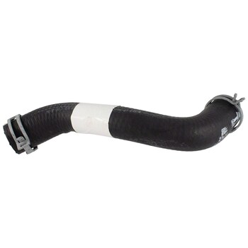 Radiator Coolant Hose - Lower