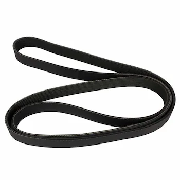 Serpentine Belt