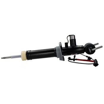 Suspension Strut - Left, Front