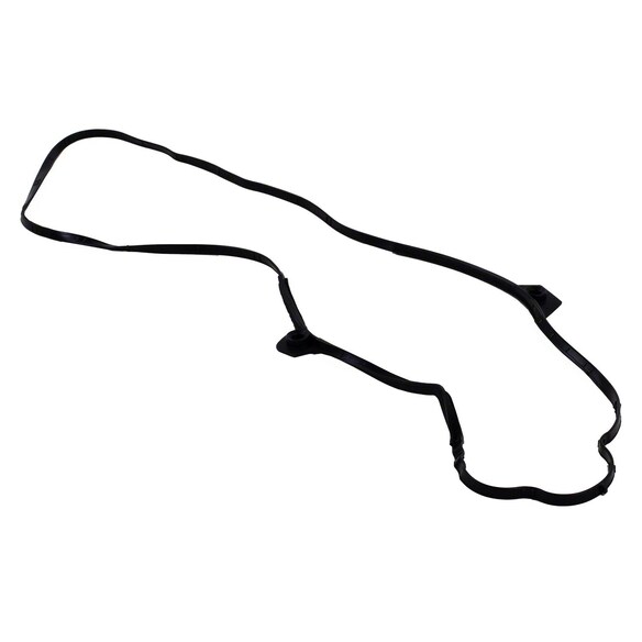 552946.jpg
