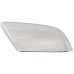 Door Mirror Cover - Right Main Image