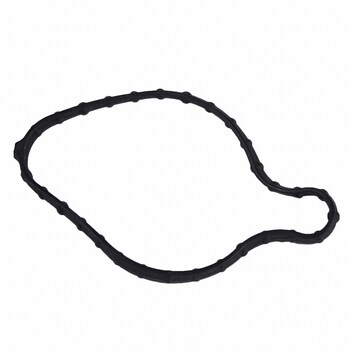 Fuel Pump Gasket