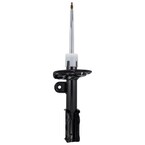 Suspension Strut Shock Absorber - Front 3.0L (ST) Main Image