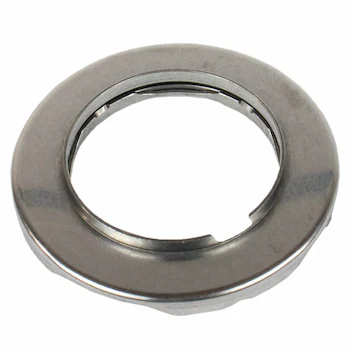 Bearing Roller