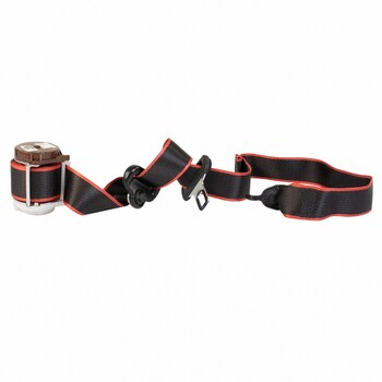 Seat Belt - Left, Right, Rear (XLT Special Edition)