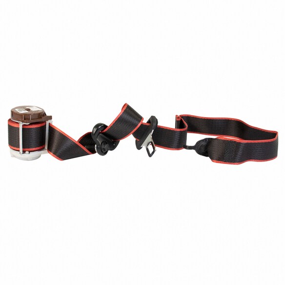 Seat Belt - Left, Right, Rear (XLT Special Edition) Main Image