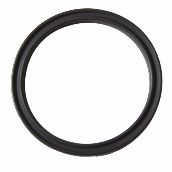 Engine Crankcase Vent Valve Seal - 31MM 6.0L Main Image
