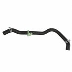 Radiator Coolant Hose - Passenger Main Image