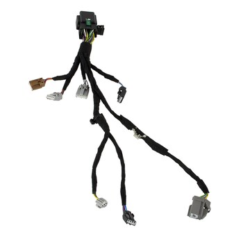 Wiring Door - Right, Rear