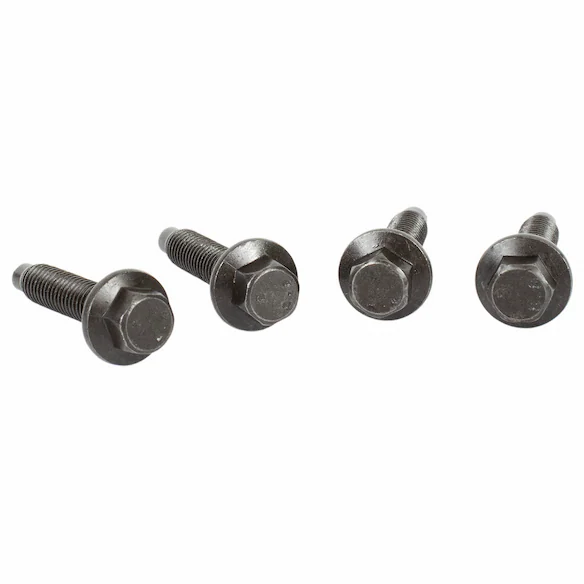 Pump bolt - M6 X 25MM Main Image