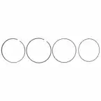 Engine Piston Ring Kit Main Image