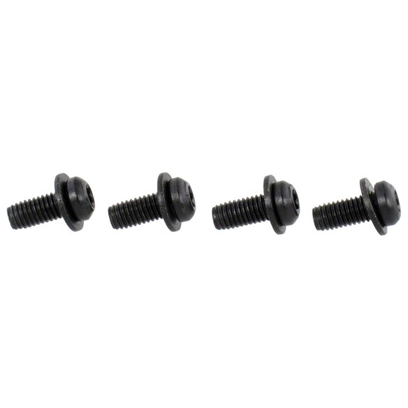 Screw And Washer Seat Belt Lap Shoulder - M5 X 12MM Main Image