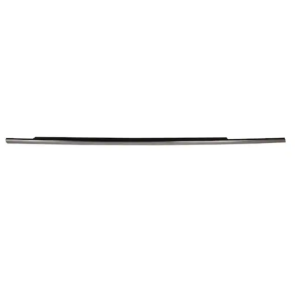 Door Belt Molding Weatherstrip - Right, Front Main Image