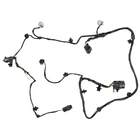598969.jpg