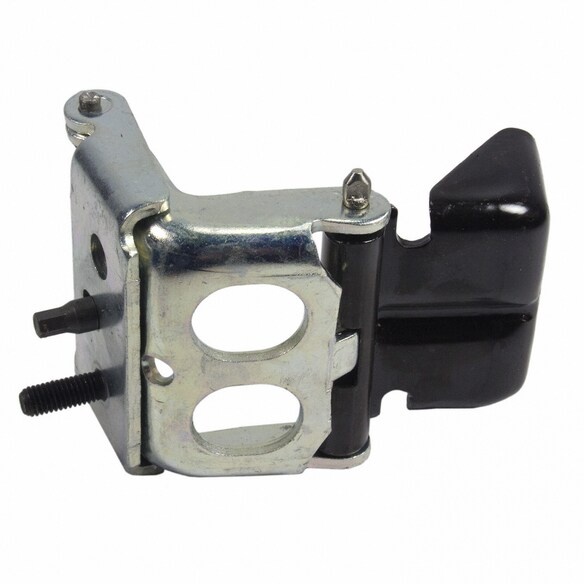 Liftgate Hinge - Left, Right Main Image
