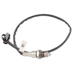 Oxygen Sensor Exhaust Gas - Lower Main Image