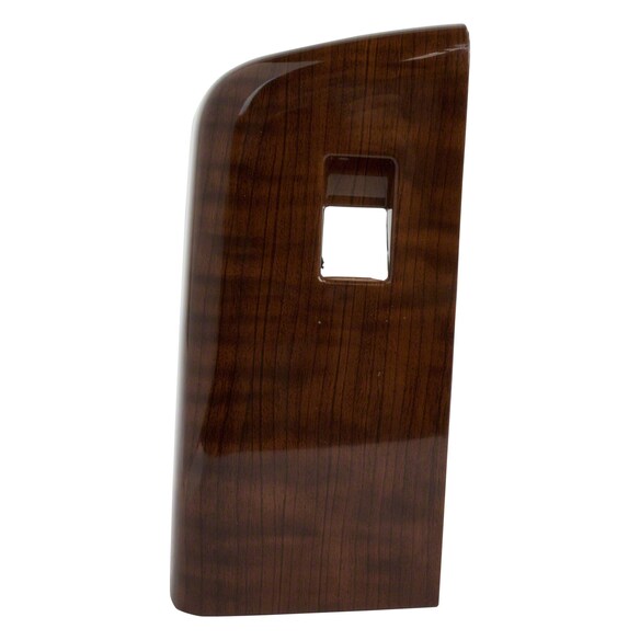 Door Window Switch Bezel Housing - Right, Rear Main Image