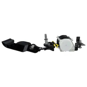 Seat Belt - Left, Rear