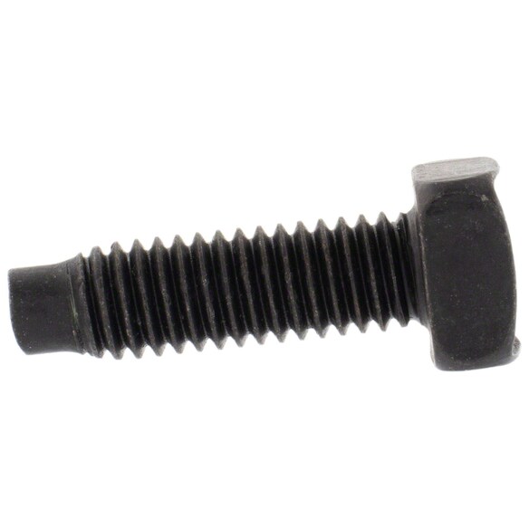 Stud Main Image