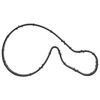 Engine Water Pump Gasket - 1.5L
